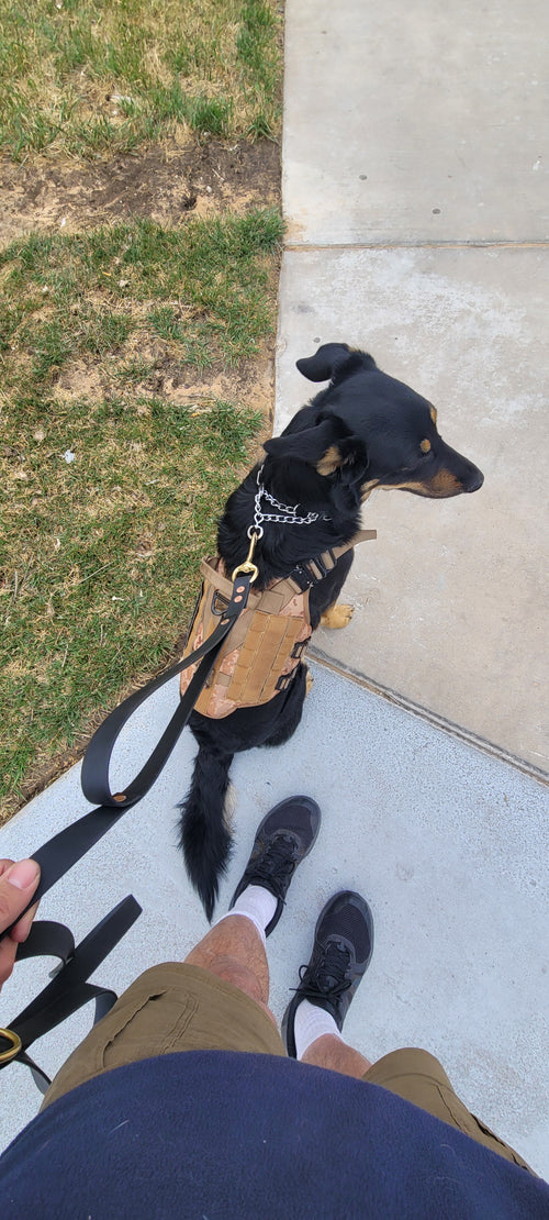 Biothane Dog Leash with Traffic Loop | Solid Brass | Luna's Adventure Leads