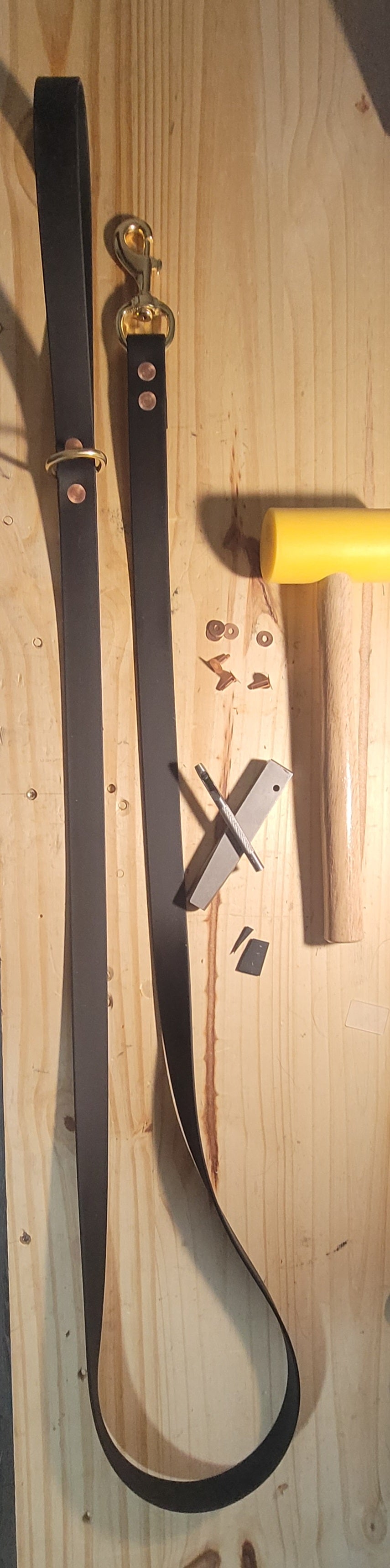 Biothane Dog Leash | Solid Brass Hardware | Luna's Adventure Leads