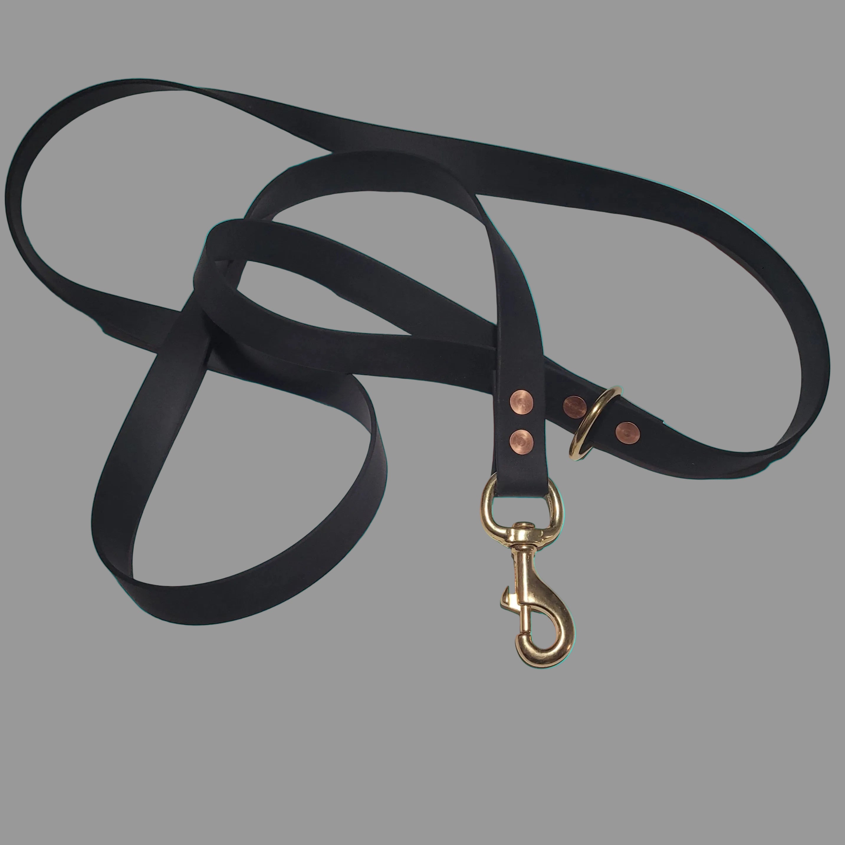 Black Biothane Dog Lead