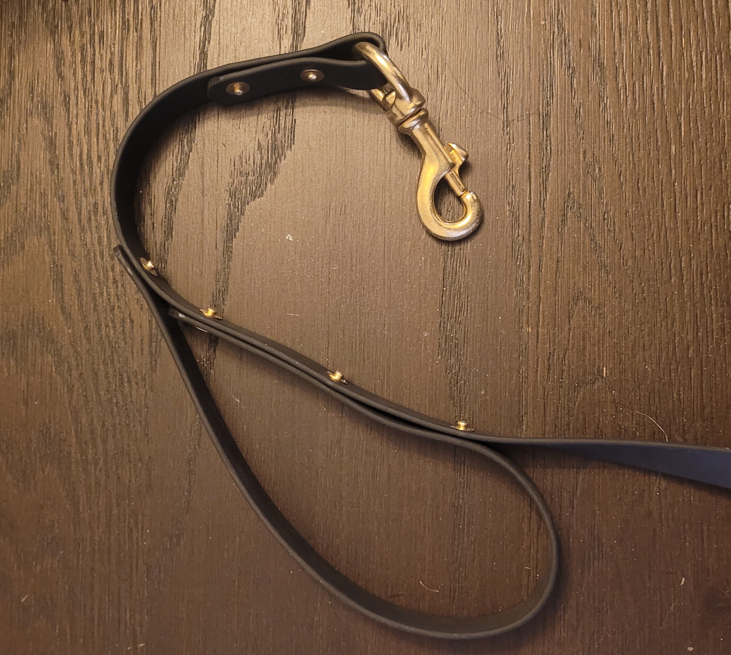 The Expedition| Hands free Biothane Dog leash| water proof|